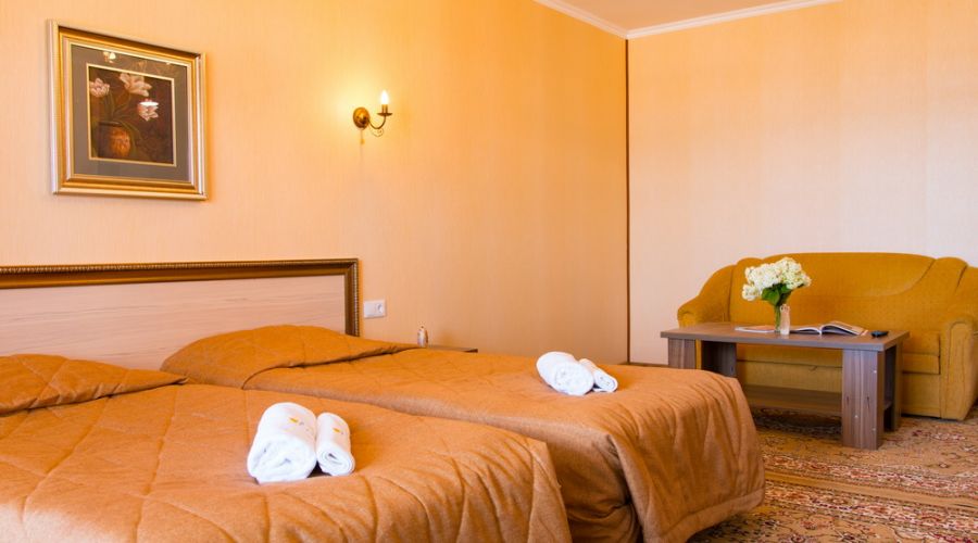 Superior 2-местный 1 комнатный корпус Deniz Resort с видом на озеро