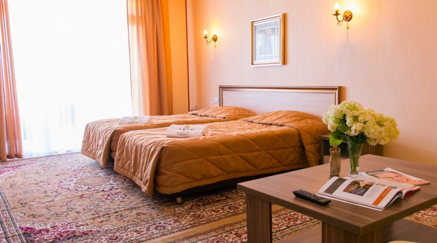 Superior 2-местный 1 комнатный корпус Deniz Resort с видом на озеро